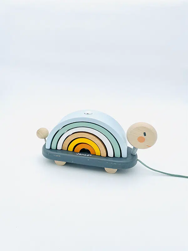 Tortue Arc-en-ciel Sweet Cocoon