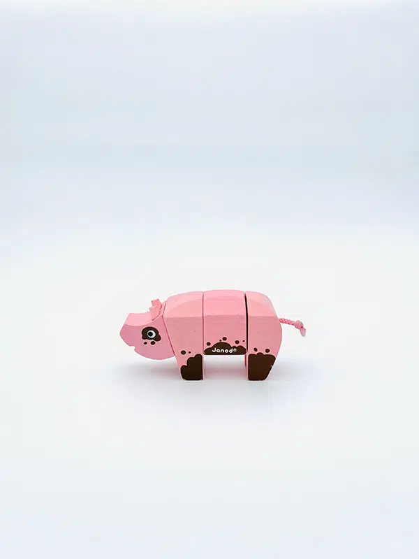 Animal Kit Cochon