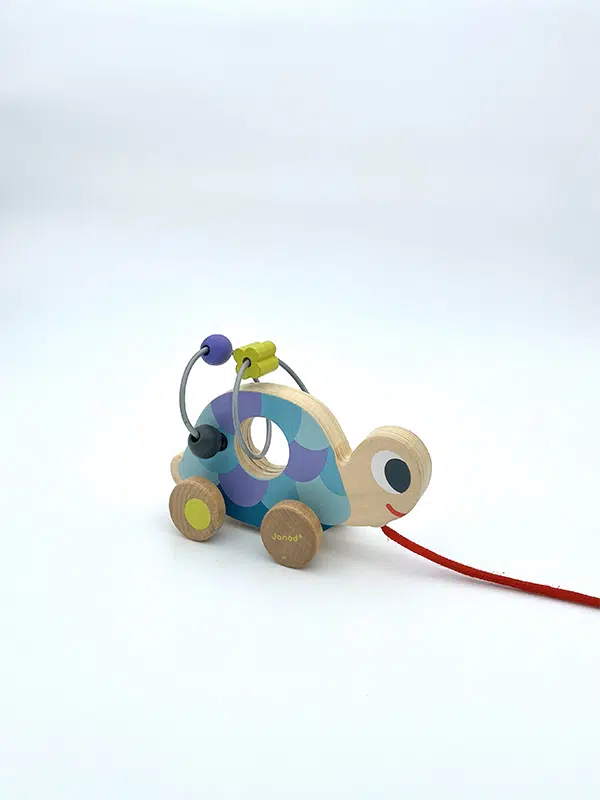 Mini looping Tortue à promener